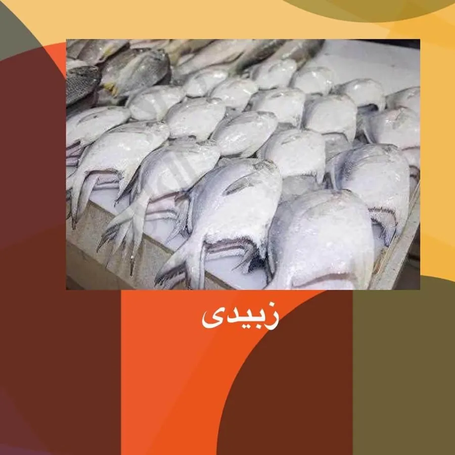 Zubaidi Fish