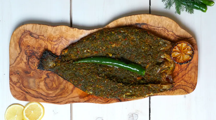 Sangari Seabass