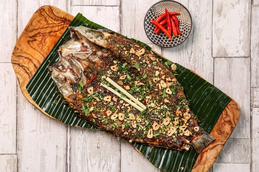 Vietnamese Seabass
