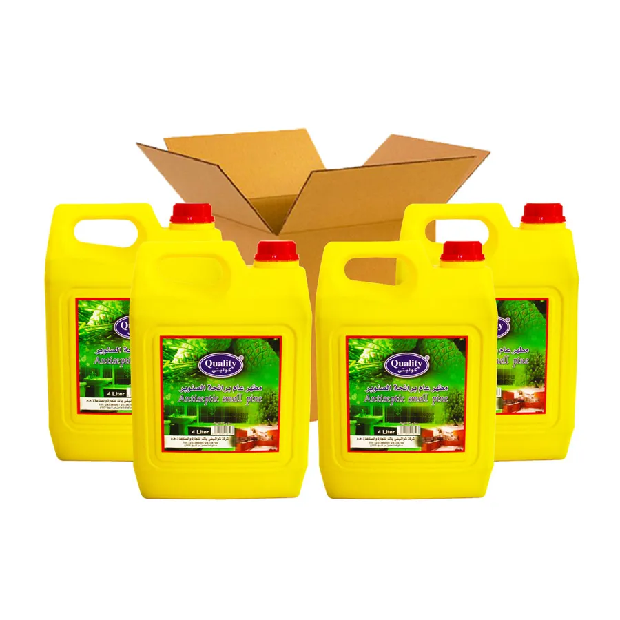 CARTON 4 PCS QUALITY ANTISEPTIC LIQUID 4 ltr