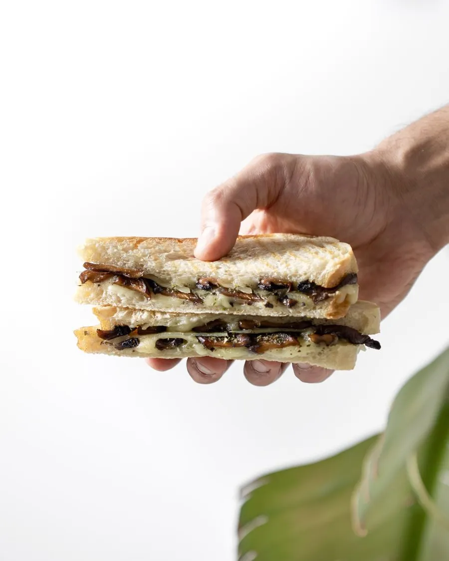 Mushroom Cheese & Mushroom