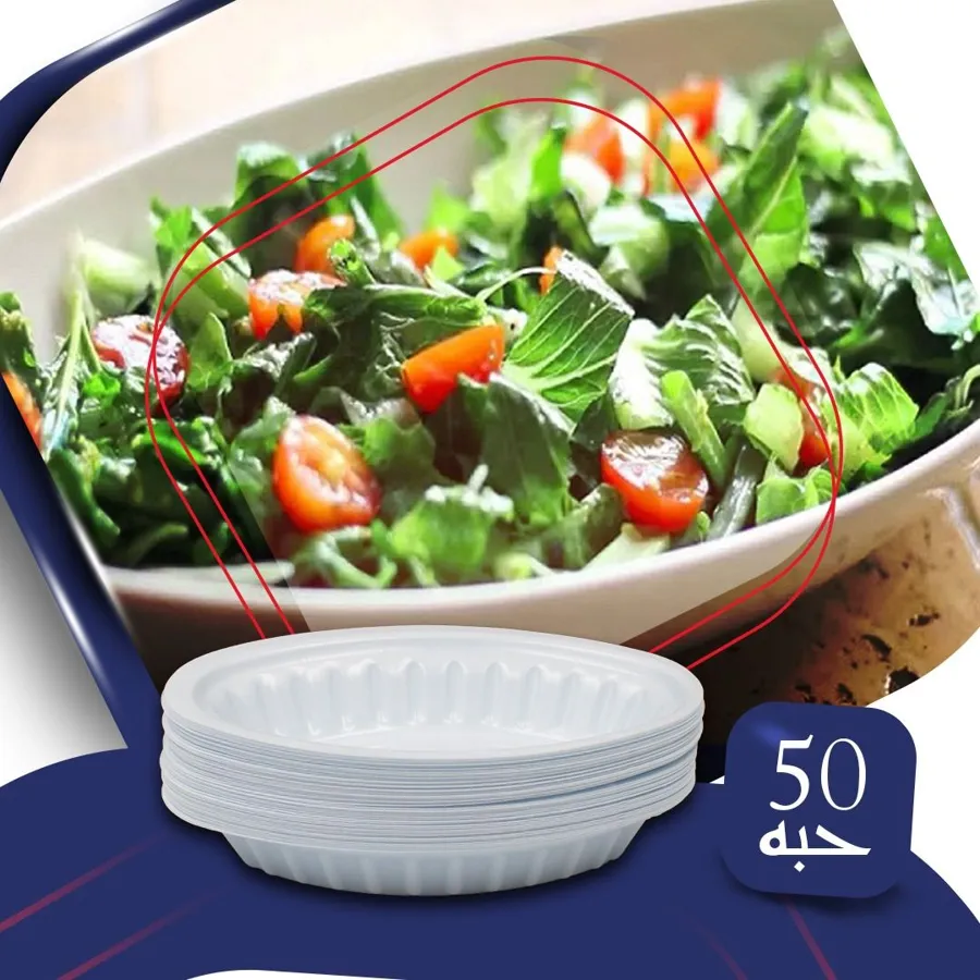 PLASTIC OVAL PLATE - SMALL NO.0 - 50 PCS