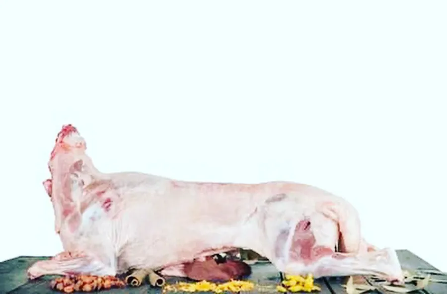 Turkish lambs carcass 17 to 18 kg