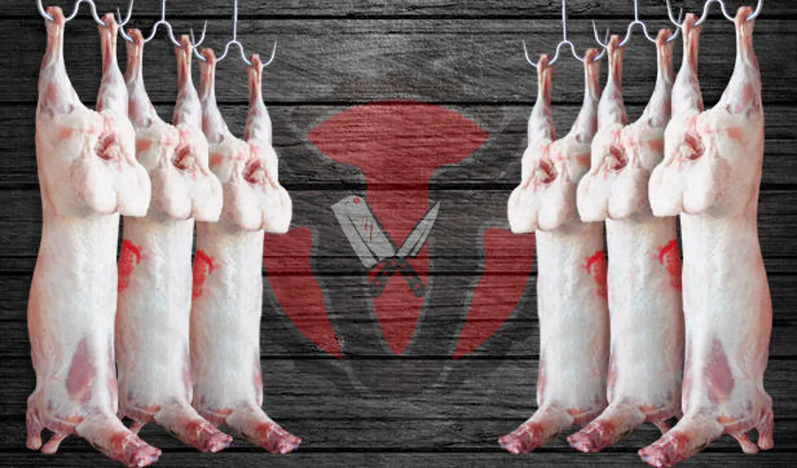Georgian Lamb (16 to 17 KG ) approximately