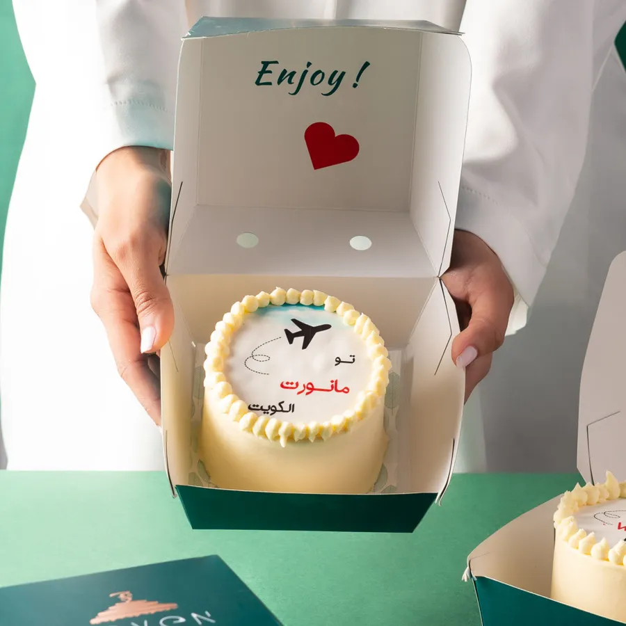 Airplane Mini Cake