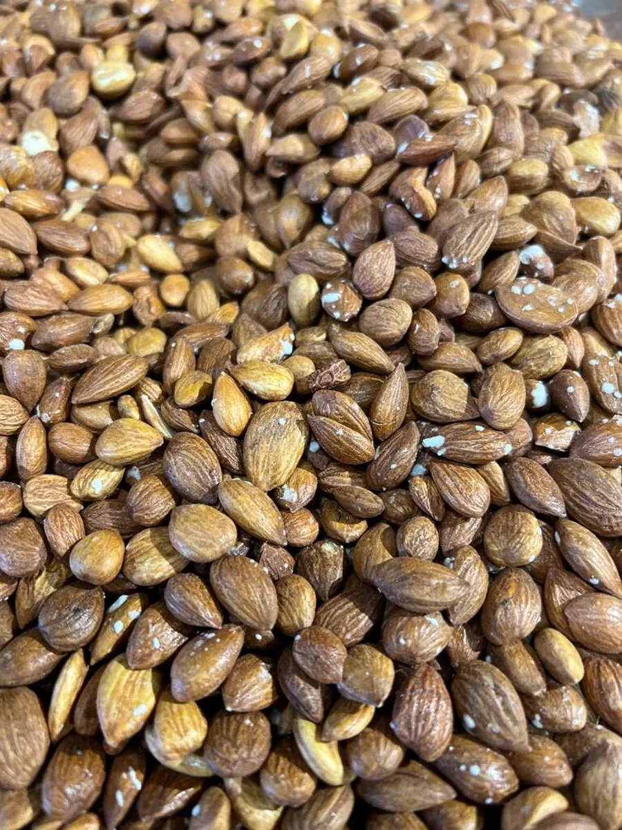 بذر مشمش محمص NO: 992