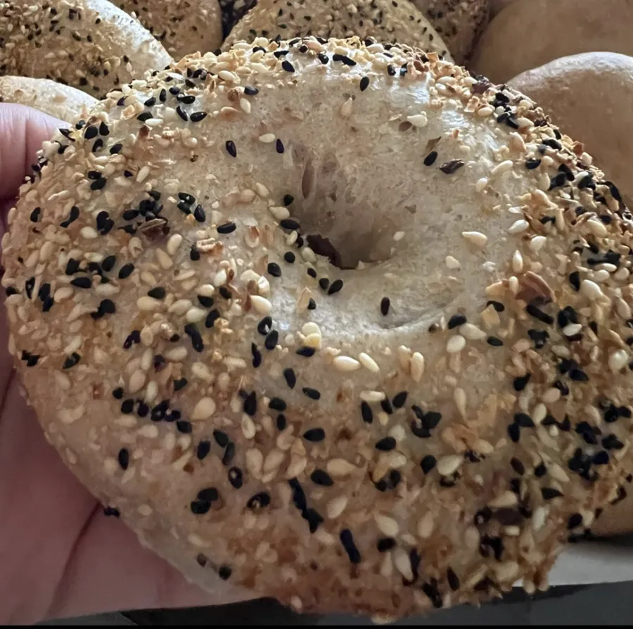 Everything sourdough bagels