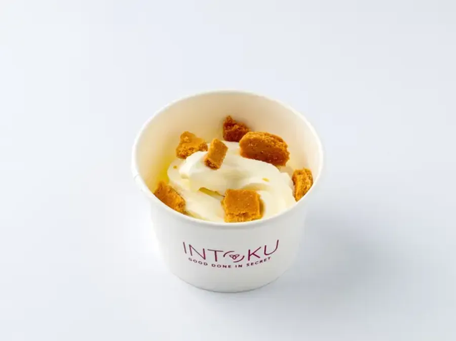 Frozen Yoghurt - Keto Friendly