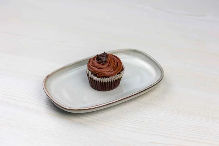 Double Chocolate Muffins