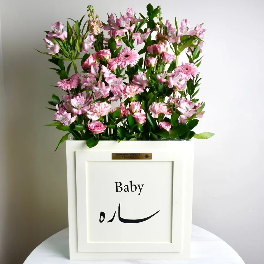 Pink Baby Blossom T26