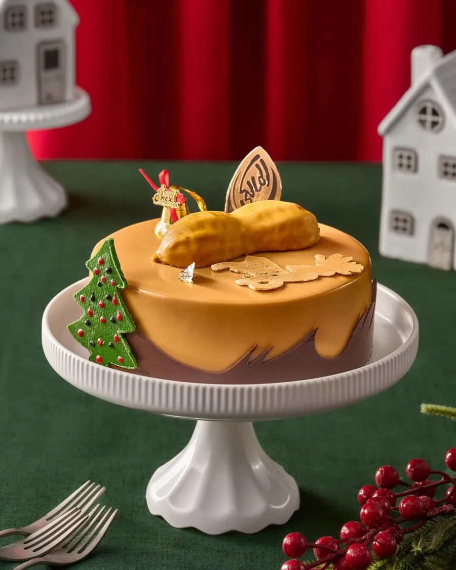 Fruitina Peanut Cake