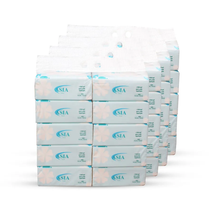 CRTN 40 PCS ASIA FACIAL TISSUE 600 SHEETS