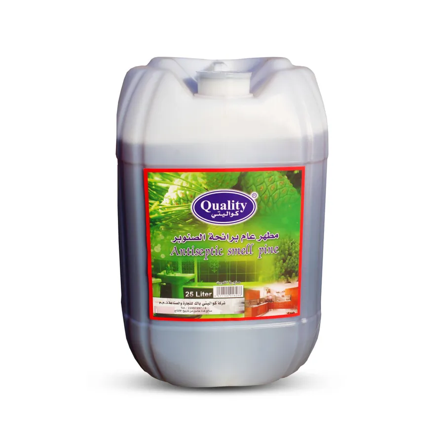 OFFER GALLON ANTISEPTIC LIQUID 25 LTRS PINE SMELL