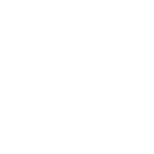 Nor Noyau store logo