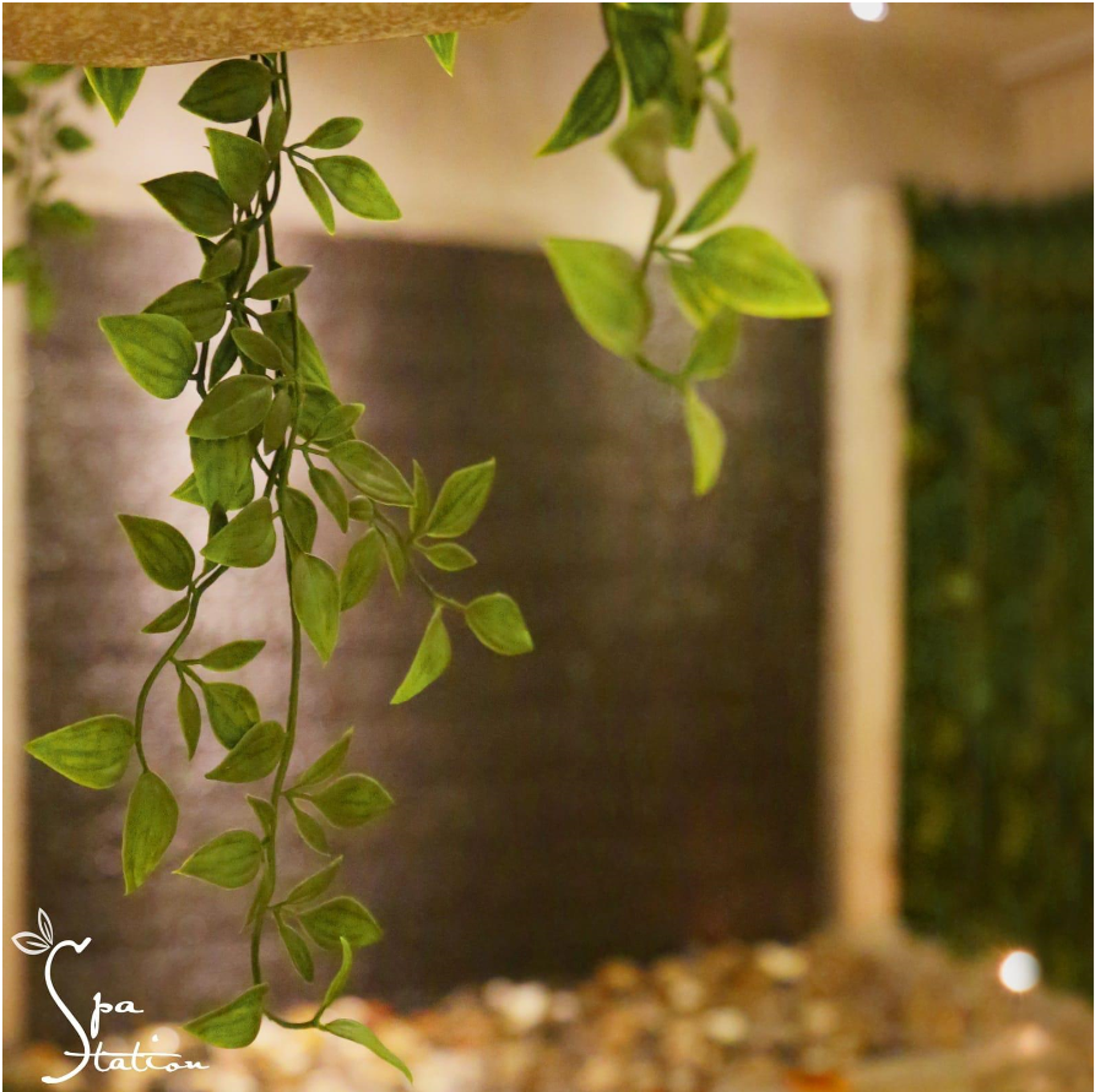 SPA STATION store photo