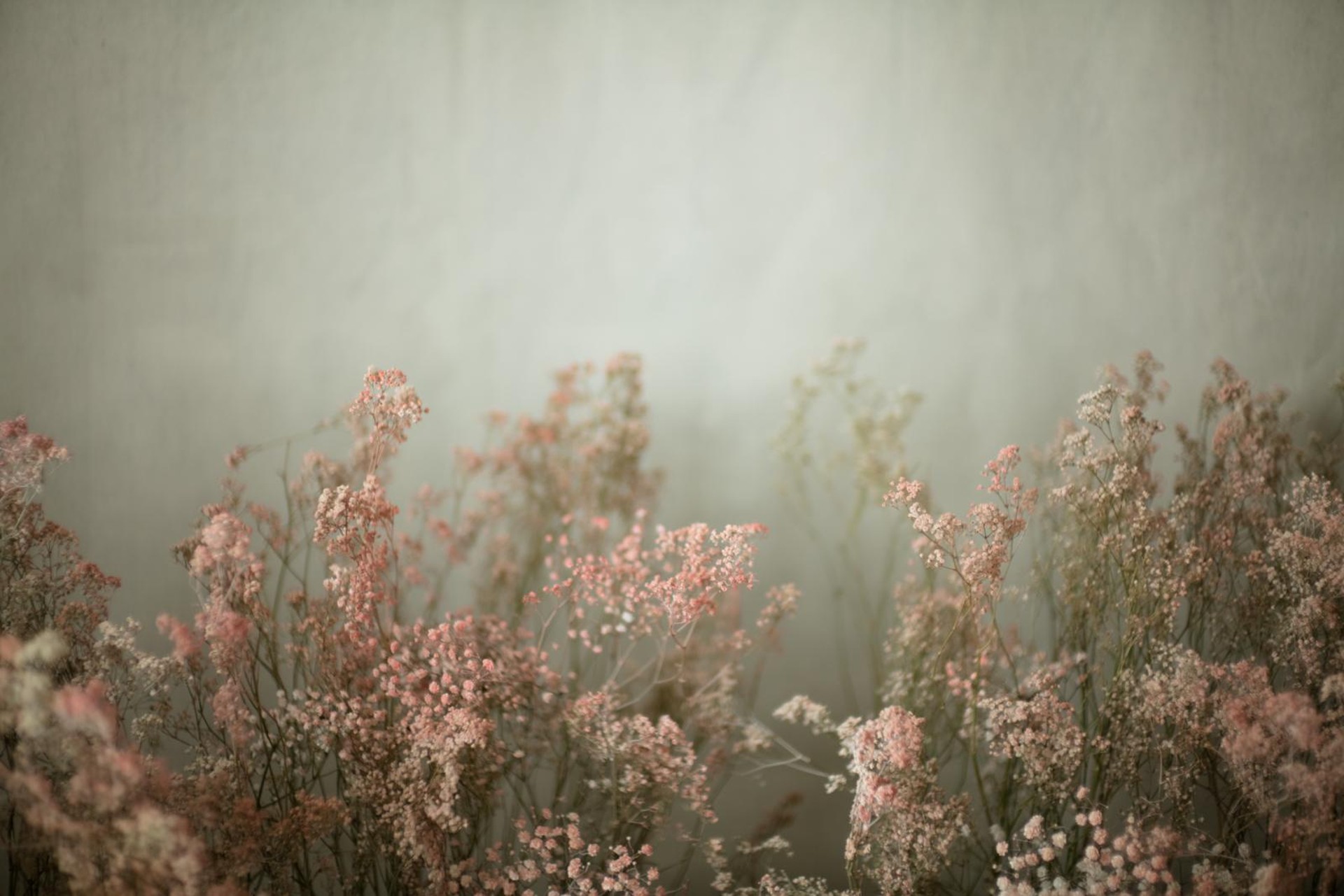 The Line store photo