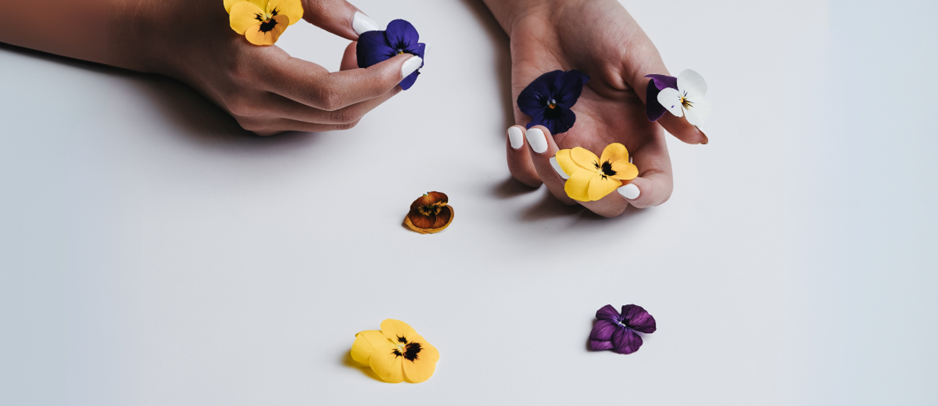 Lenotre Cafe store photo