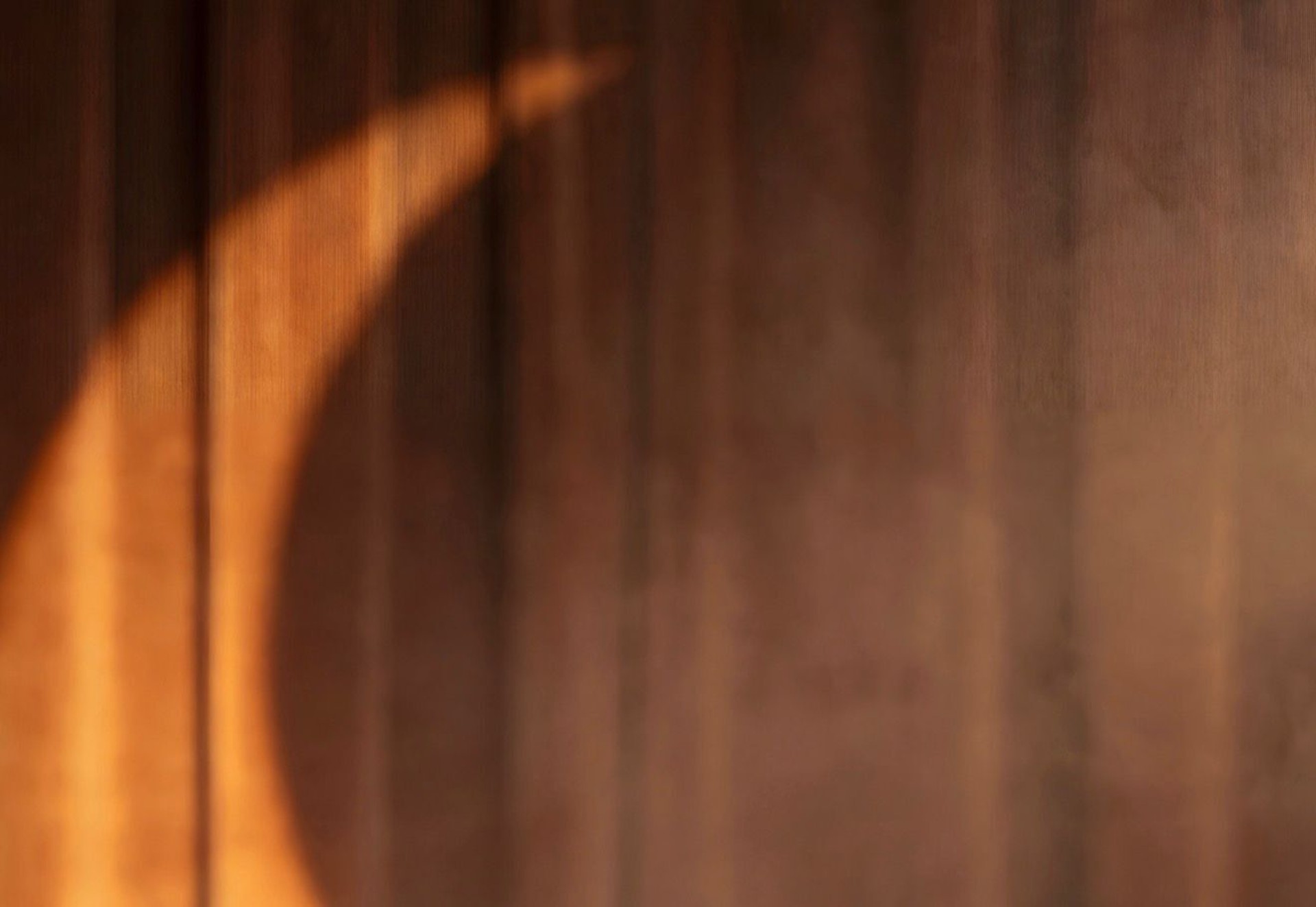 Baguette store photo