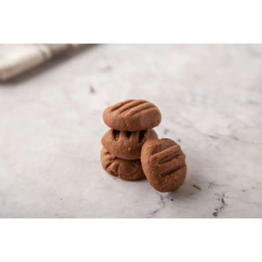 CHOCOLATE DIGESTIVE (250g)