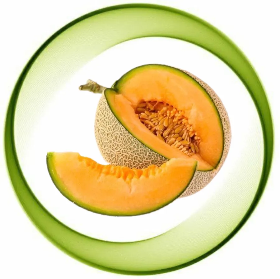 Cantaloupe