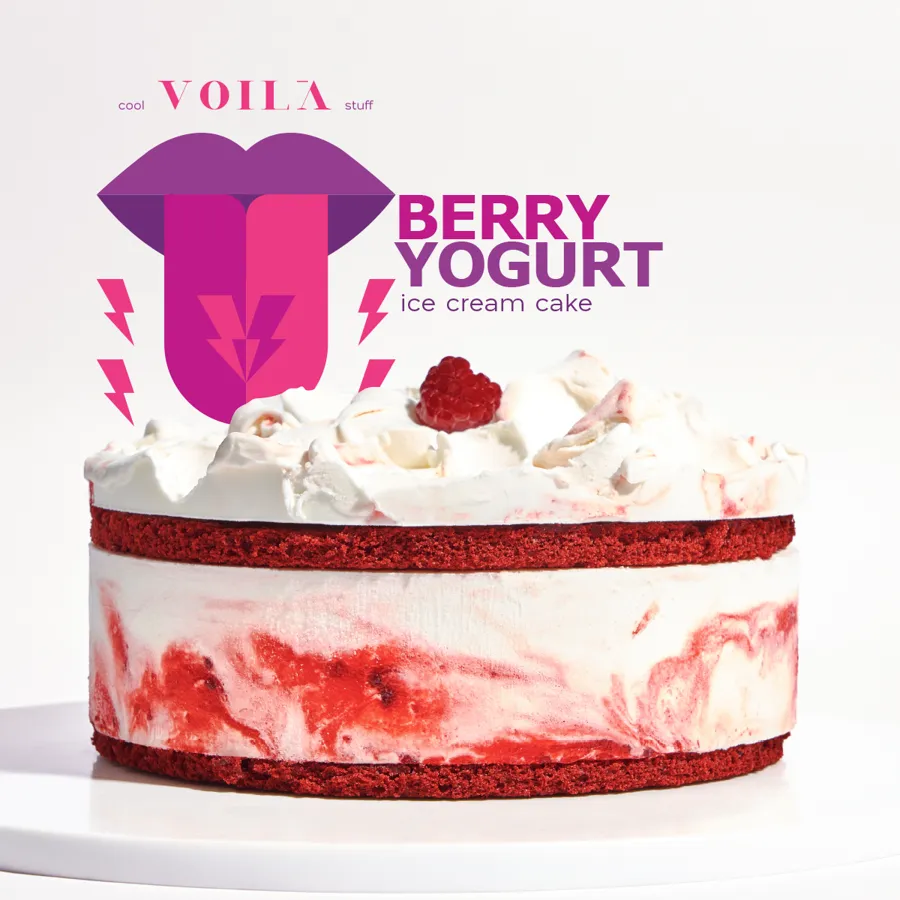 Berry Yogurt Ice cream Cake