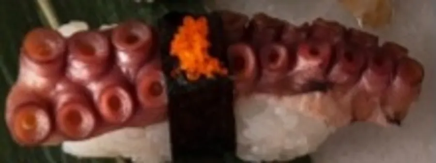 octopus Nigiri