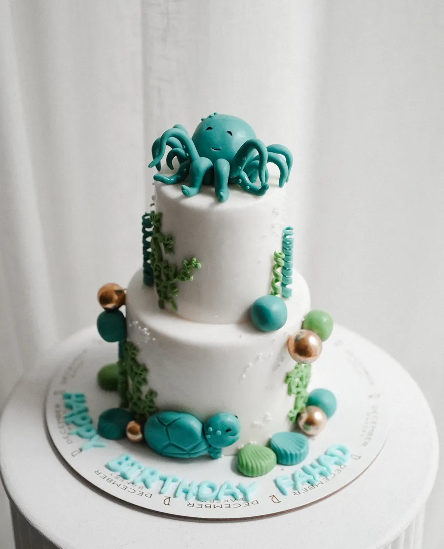 Octopus cake double cake 6inch