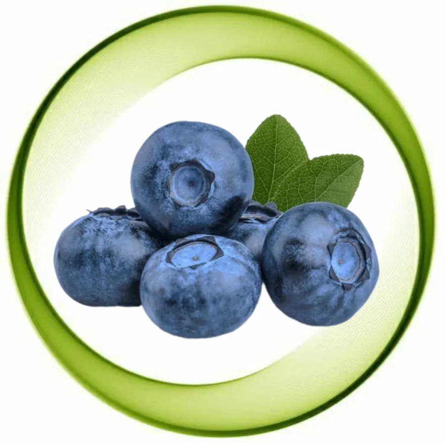 BlueBerry box