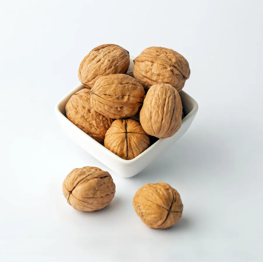 Walnut Inshell Chile Jumbo
