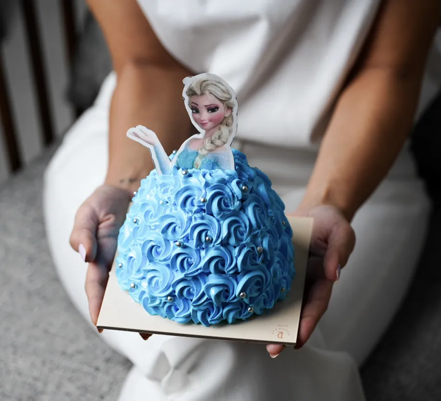 Mini Frozen Cake 2inch for 1p only mix chocolate vanilla