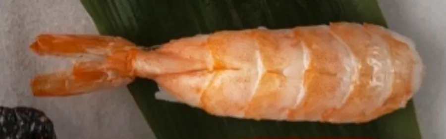 Shrimp Nigiri