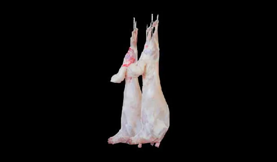 Kashmiri Lamb (12 to 13 kg Aprox)