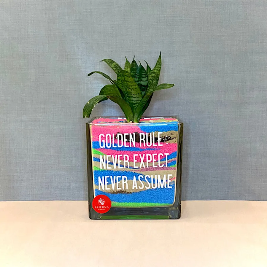 motivational sansevieria