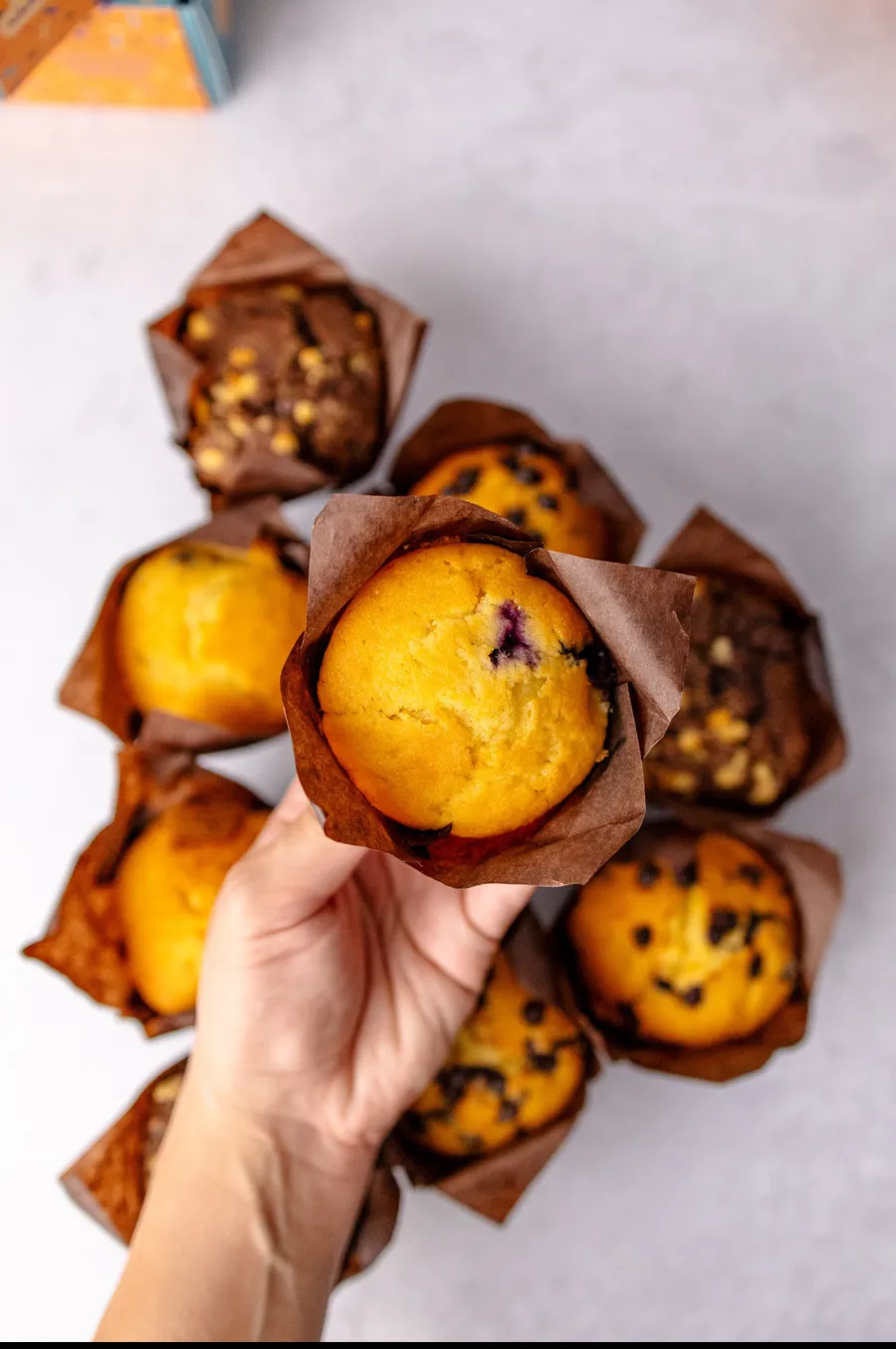 Blueberry Muffin