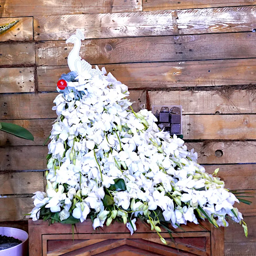 White peacock