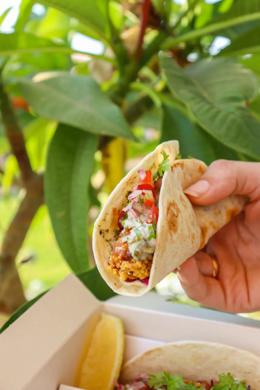 Fried Shrimp Taco