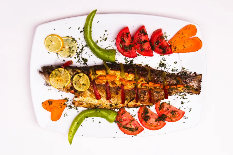 Grey Mullet Fish