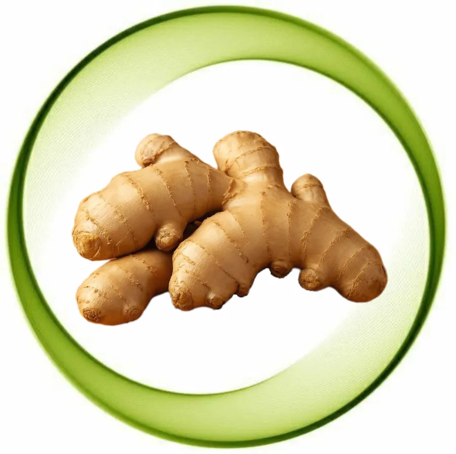 Ginger