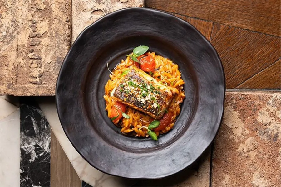 Orzo Salmone