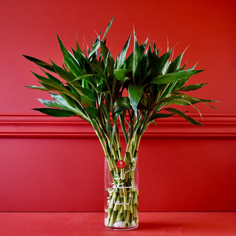Happy Bamboo |||