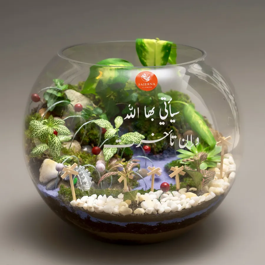 Green Terrarium I