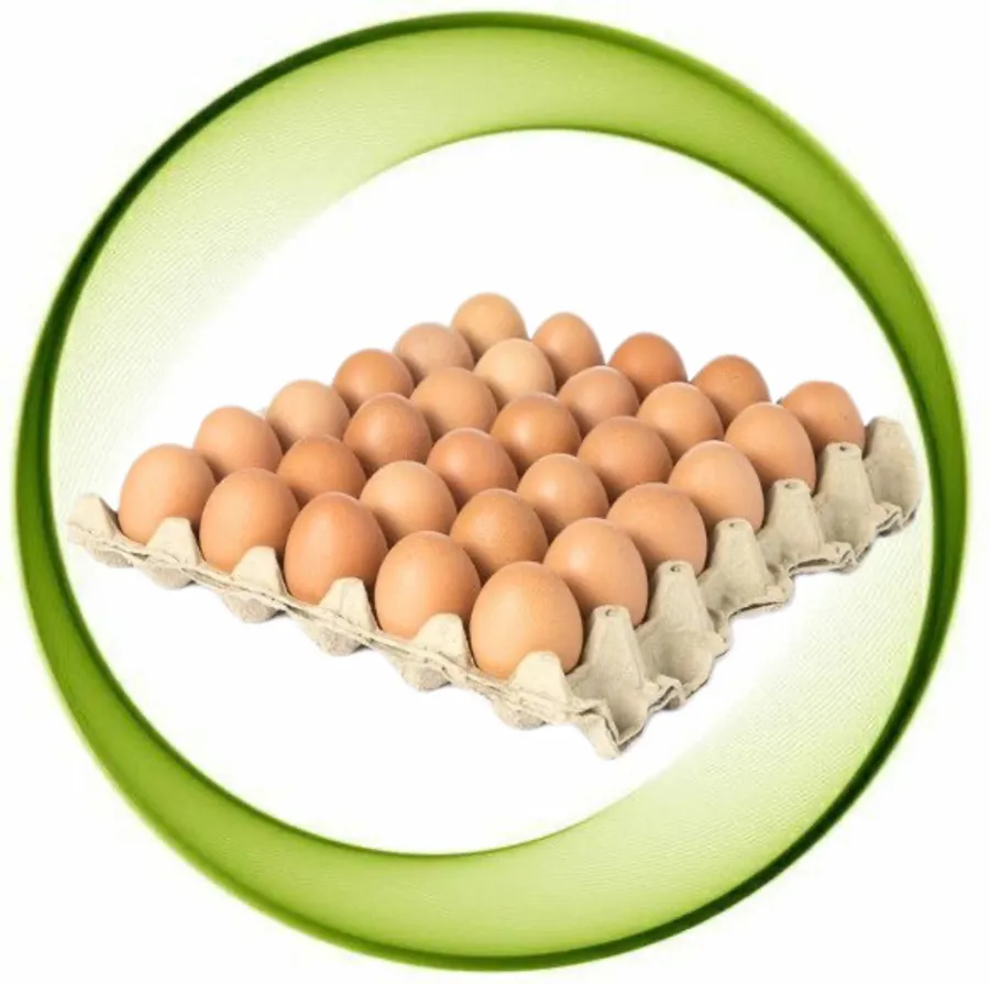 Brown farm eggs