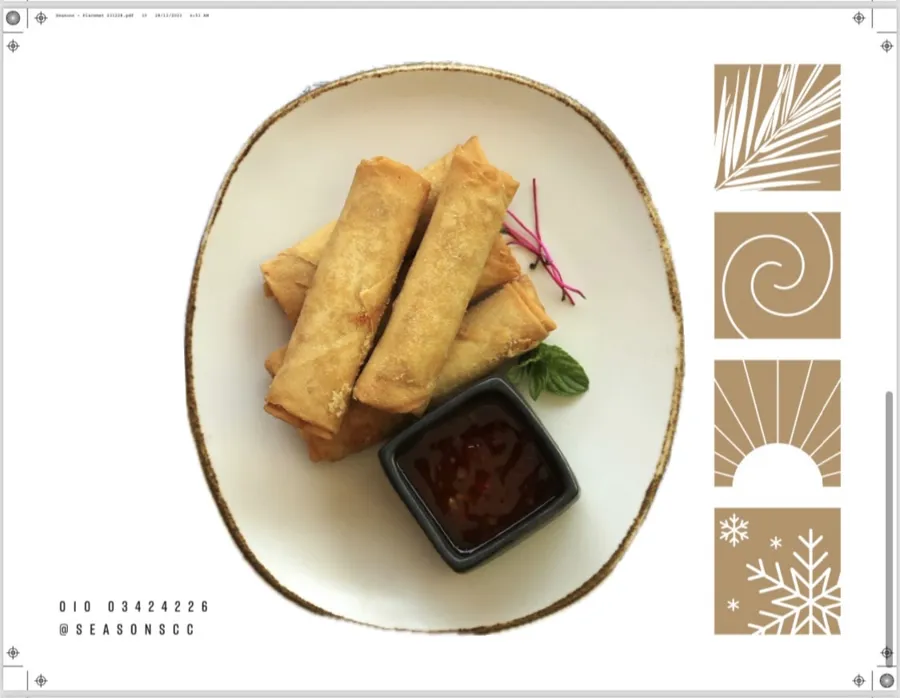 VEGETABLE SPRING ROLLS