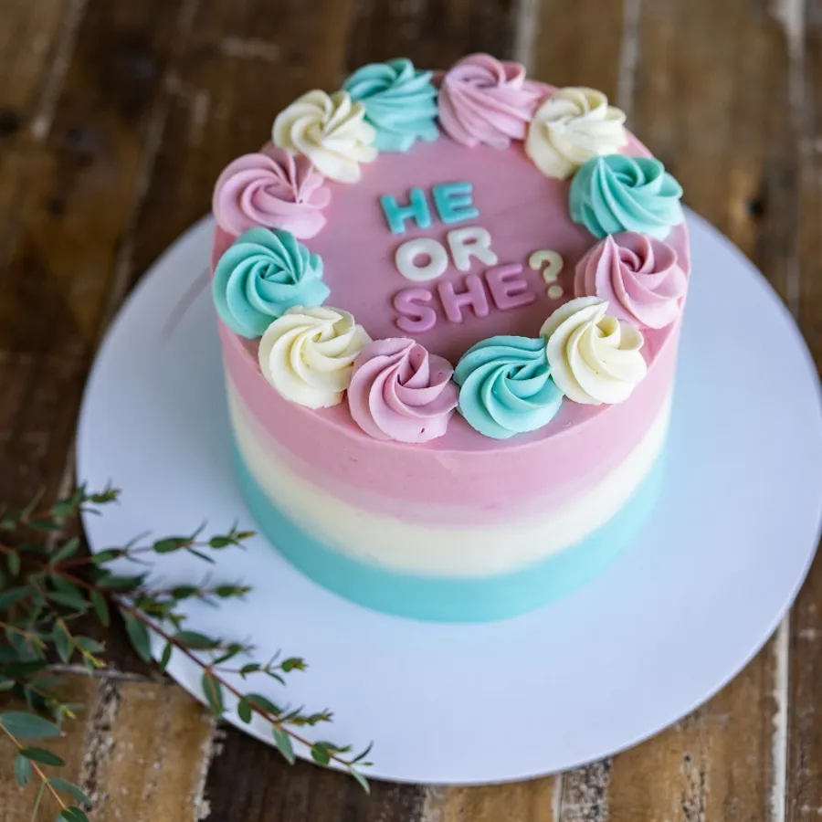 BABY GENDER CAKE