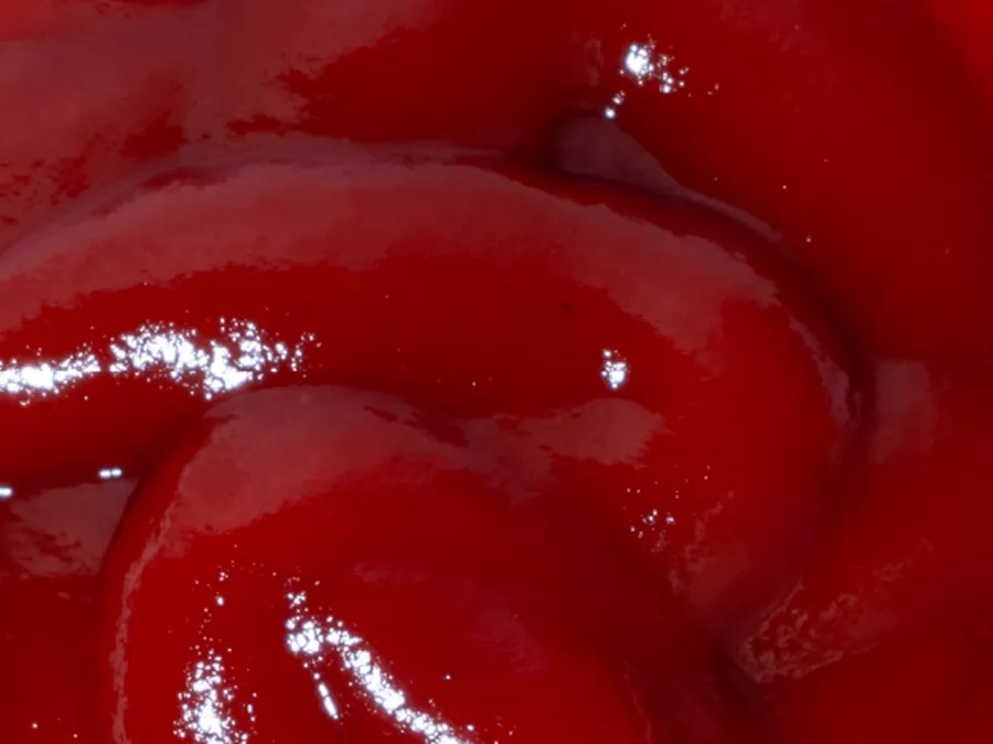 Ketchup