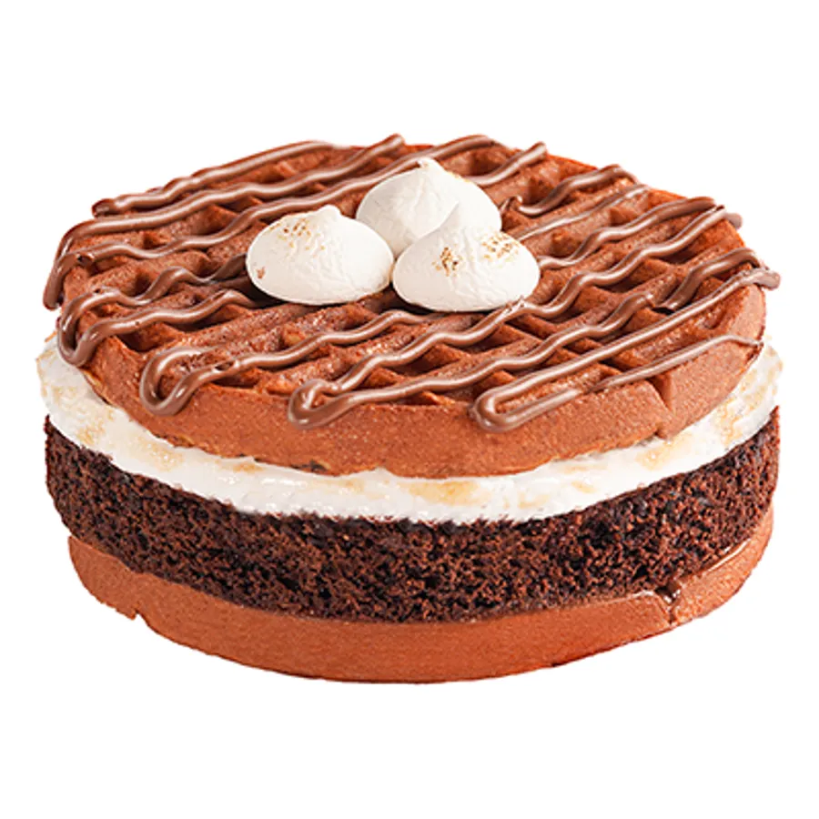 Earthquake Waffle Cake