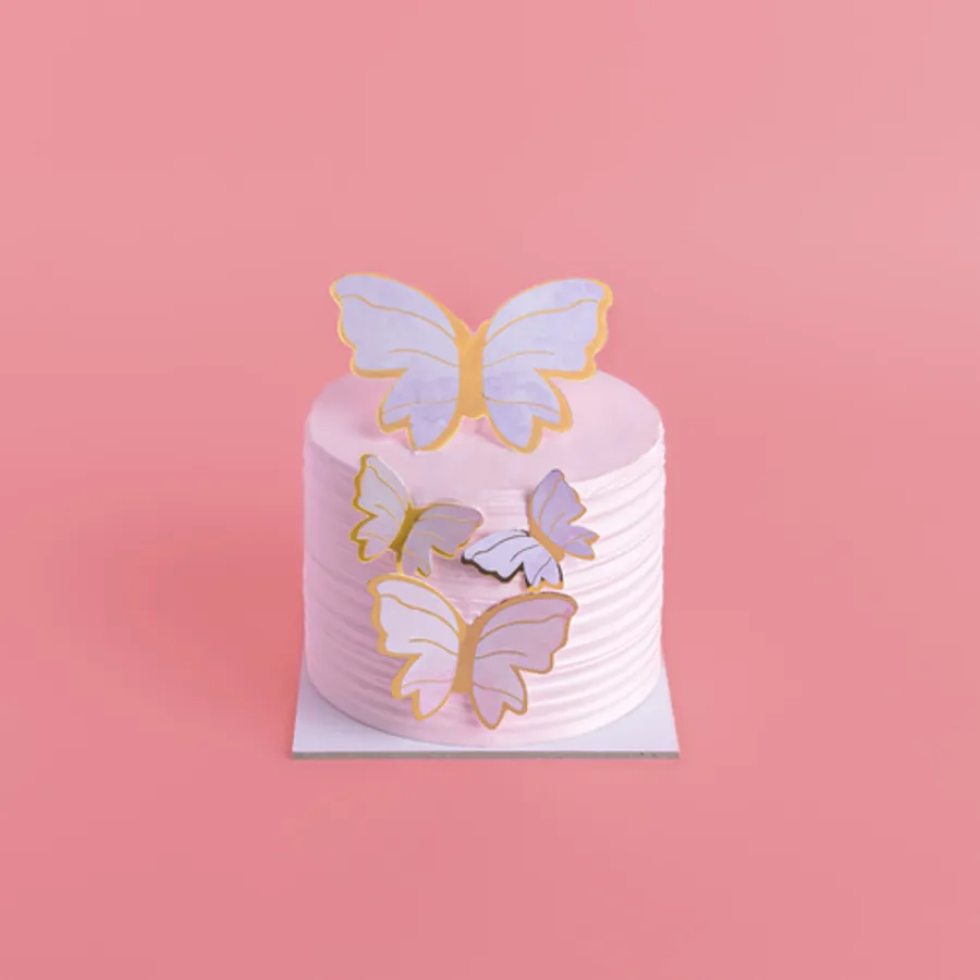 Butterfly Micro