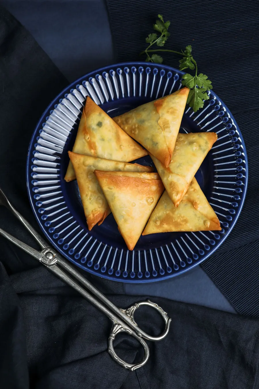 Mix Samosa