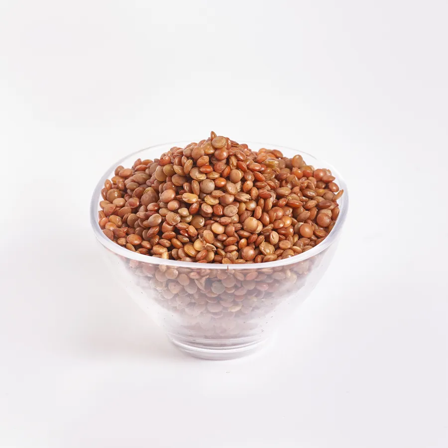 Lentil