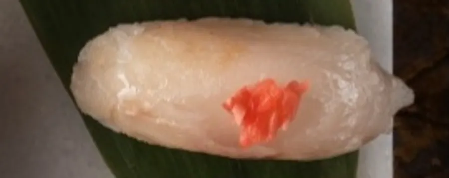 white fish Nigiri